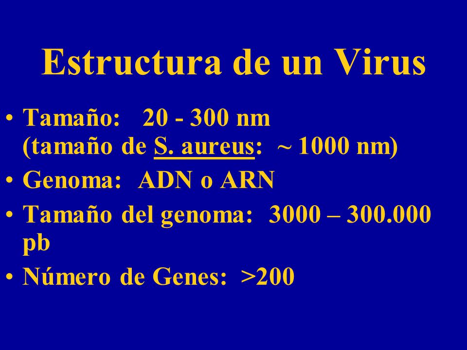 Estructura de un Virus Tamaño: nm (tamaño de S. aureus: ~ 1000 nm) Genoma: ADN o ARN.