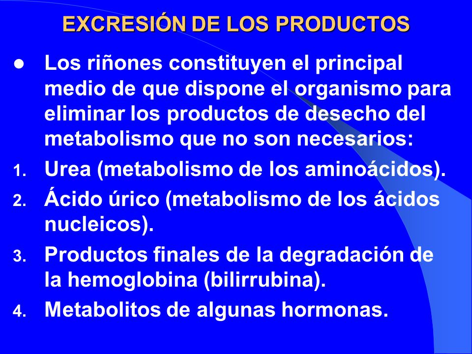 EXCRESIÓN DE LOS PRODUCTOS