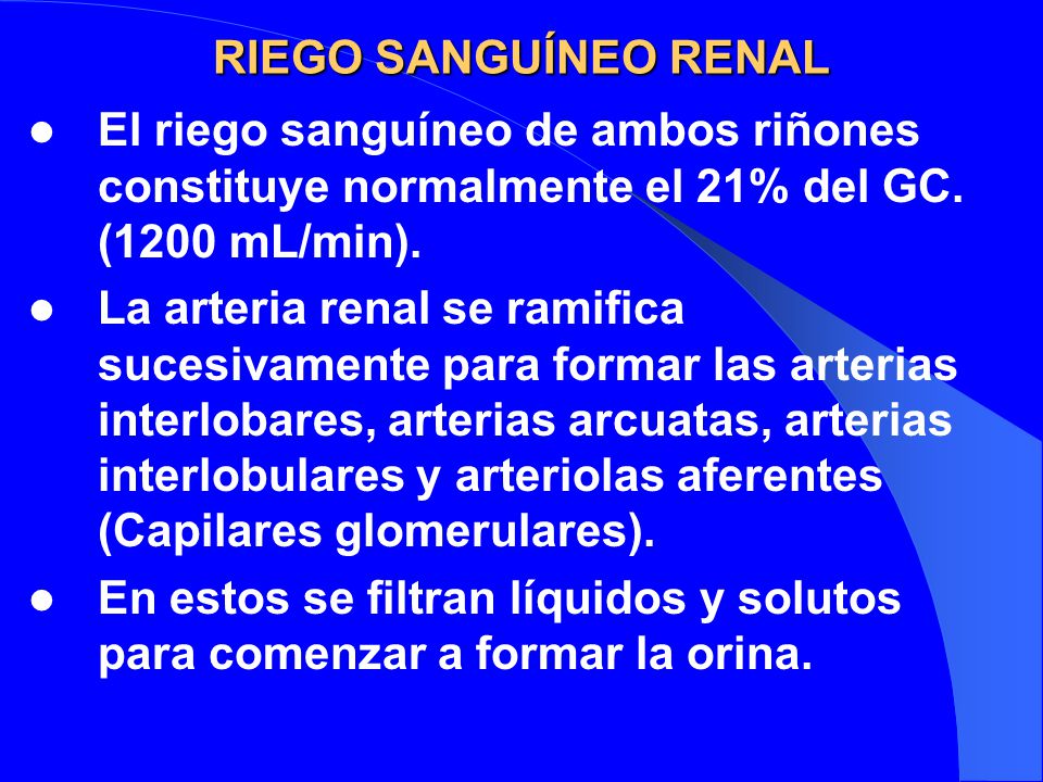 RIEGO SANGUÍNEO RENAL El riego sanguíneo de ambos riñones constituye normalmente el 21% del GC. (1200 mL/min).