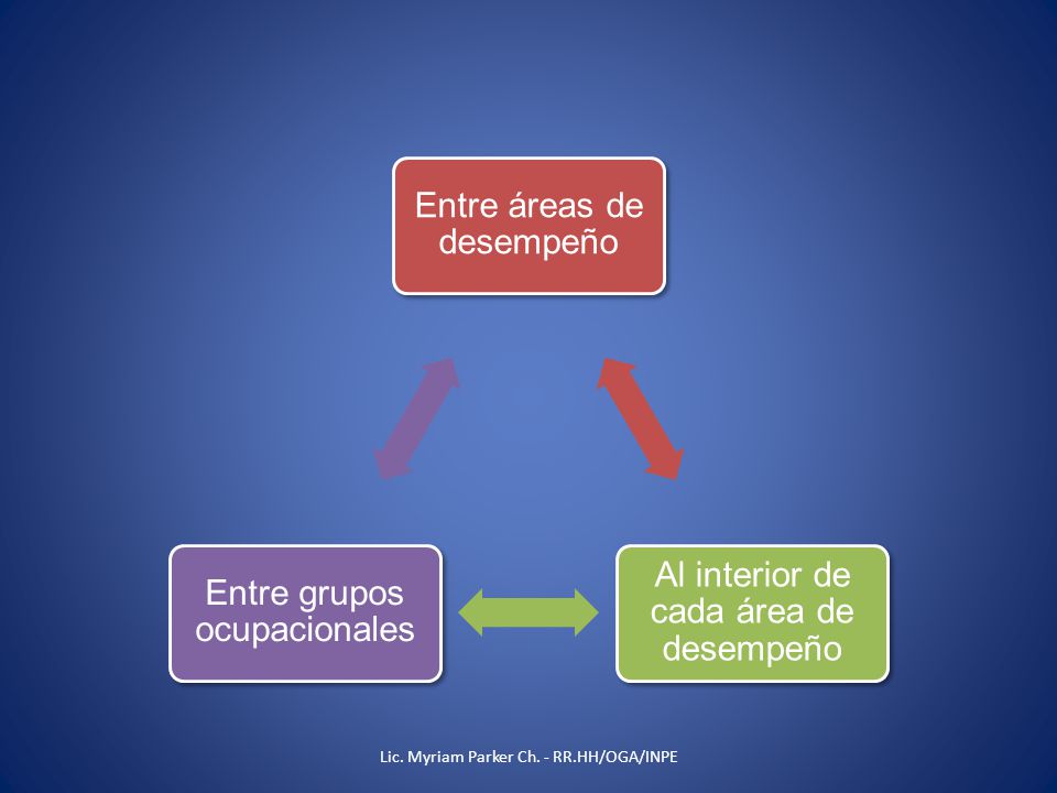 Entre áreas de desempeño Al interior de cada área de desempeño