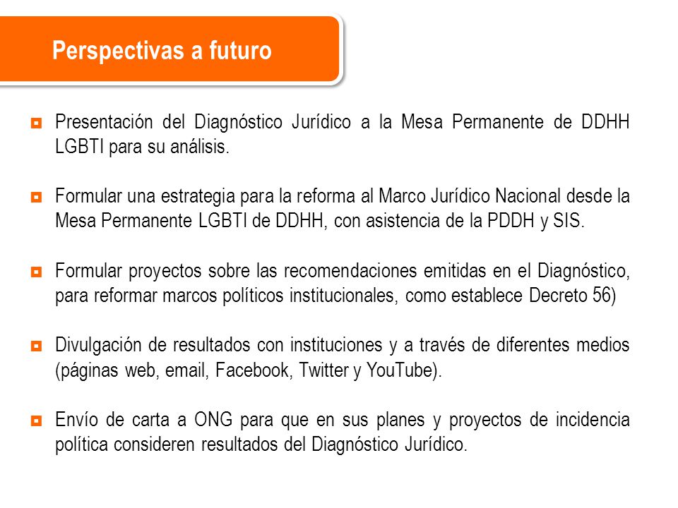 Perspectivas a futuro Presentación del Diagnóstico Jurídico a la Mesa Permanente de DDHH LGBTI para su análisis.