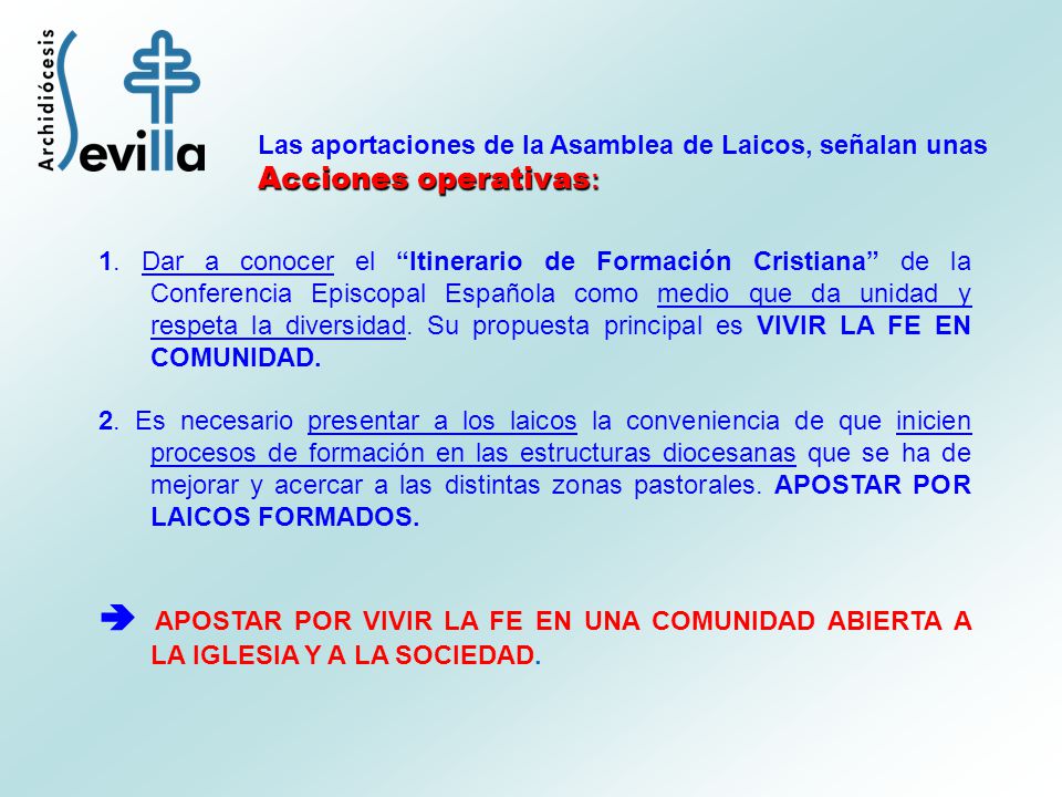 Las aportaciones de la Asamblea de Laicos, señalan unas Acciones operativas: