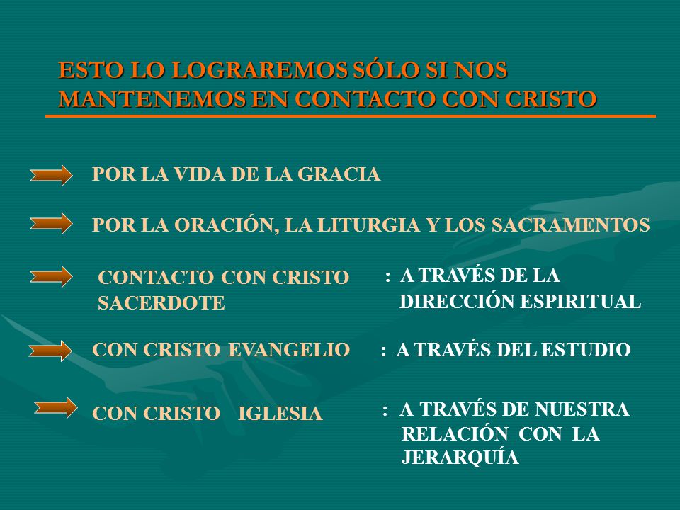 ESTO LO LOGRAREMOS SÓLO SI NOS MANTENEMOS EN CONTACTO CON CRISTO