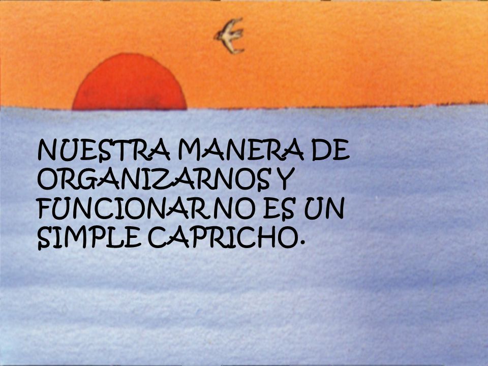 NUESTRA MANERA DE ORGANIZARNOS Y FUNCIONAR NO ES UN SIMPLE CAPRICHO.