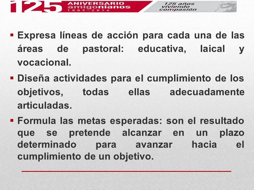 Expresa líneas de acción para cada una de las áreas de pastoral: educativa, laical y vocacional.