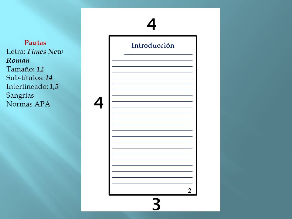 4 4 3 Pautas Introducción Letra: Times New Roman Tamaño: 12