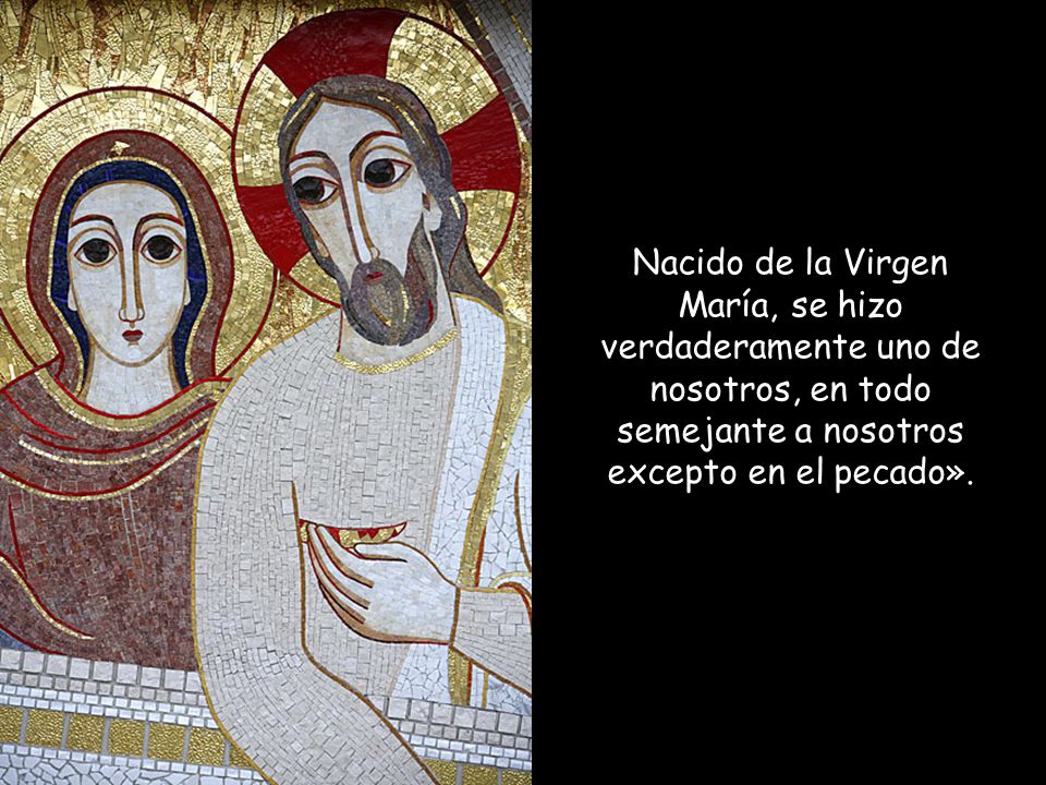 Nacido de la Virgen María, se hizo verdaderamente uno de nosotros, en todo semejante a nosotros excepto en el pecado».