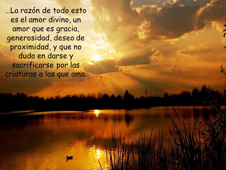 …La razón de todo esto es el amor divino, un amor que es gracia, generosidad, deseo de proximidad, y que no duda en darse y sacrificarse por las criaturas a las que ama.