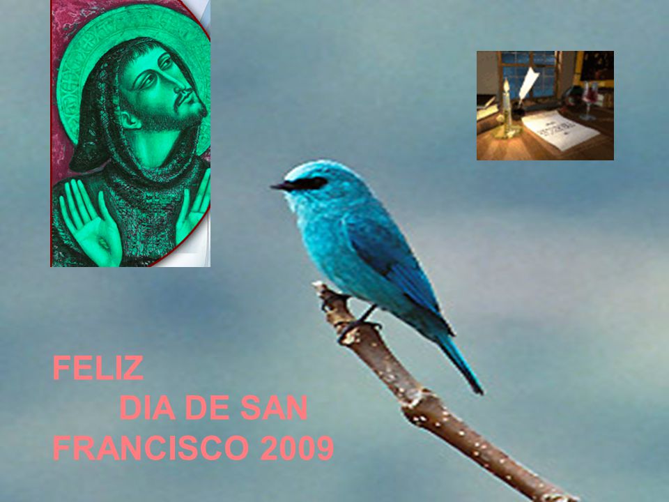 S E R V I FELIZ DIA DE SAN FRANCISCO 2009