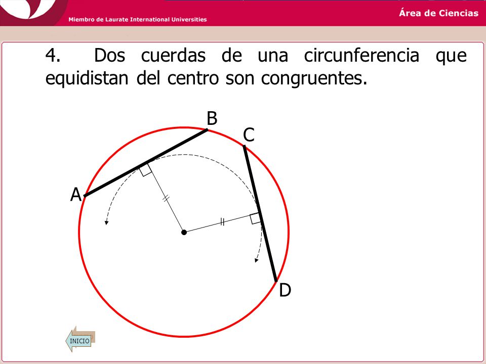 4. Dos cuerdas de una circunferencia que equidistan del centro son congruentes.