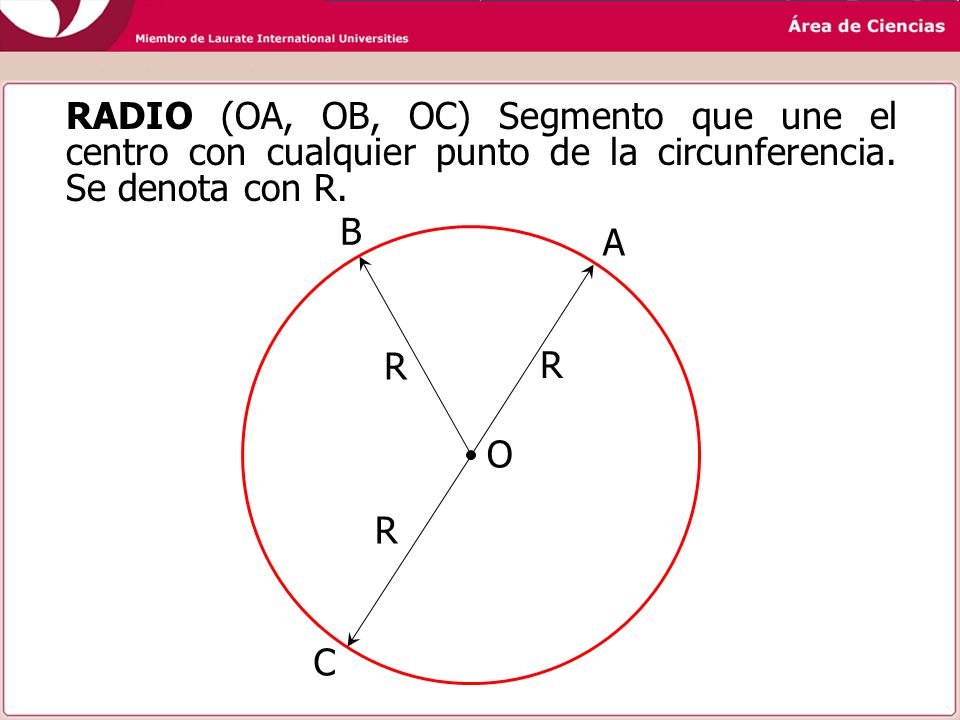 RADIO (OA, OB, OC) Segmento que une el centro con cualquier punto de la circunferencia. Se denota con R.