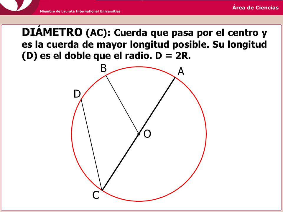 DIÁMETRO (AC): Cuerda que pasa por el centro y es la cuerda de mayor longitud posible. Su longitud (D) es el doble que el radio. D = 2R.