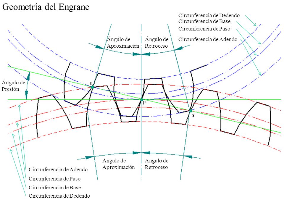 Geometría del Engrane Ángulo de Aproximación Ángulo de Presión a P a