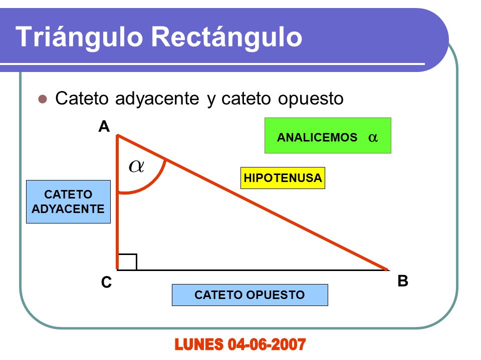 Triángulo Rectángulo LUNES