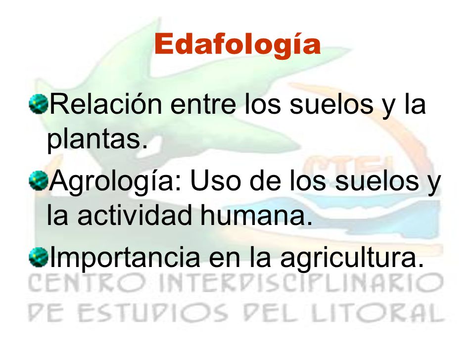 Edafología Relación entre los suelos y la plantas. Agrología: Uso de los suelos y la actividad humana.