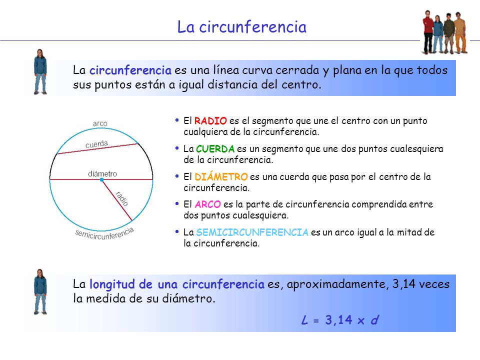 La circunferencia La circunferencia es una línea curva cerrada y plana en la que todos sus puntos están a igual distancia del centro.
