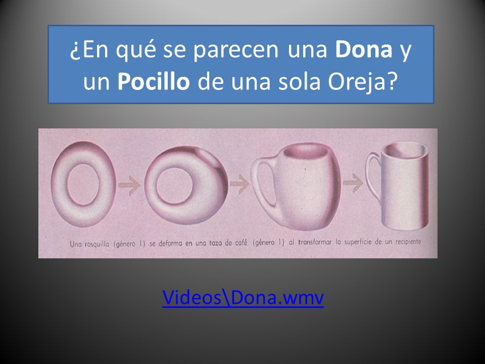 ¿En qué se parecen una Dona y un Pocillo de una sola Oreja