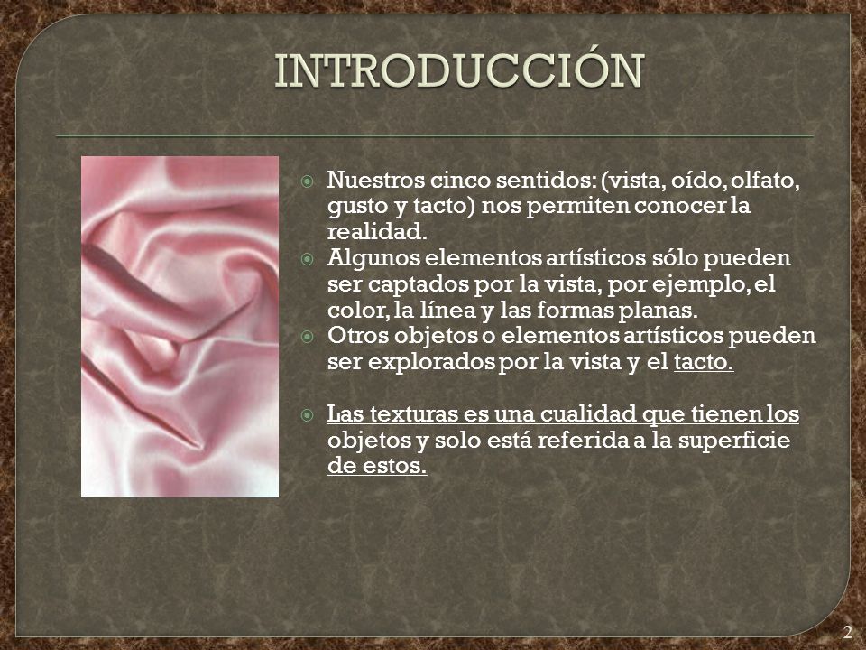 INTRODUCCIÓN Nuestros cinco sentidos: (vista, oído, olfato, gusto y tacto) nos permiten conocer la realidad.