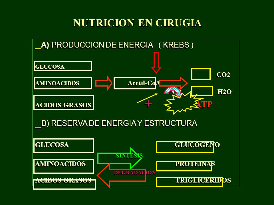 NUTRICION EN CIRUGIA SINTESIS A) PRODUCCION DE ENERGIA ( KREBS )