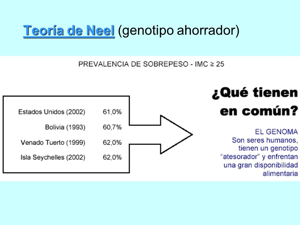 Teoría de Neel (genotipo ahorrador)