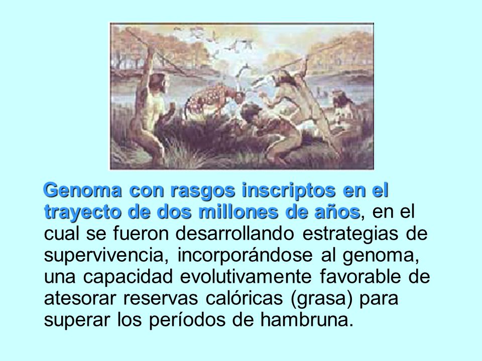 Genoma con rasgos inscriptos en el trayecto de dos millones de años, en el cual se fueron desarrollando estrategias de supervivencia, incorporándose al genoma, una capacidad evolutivamente favorable de atesorar reservas calóricas (grasa) para superar los períodos de hambruna.