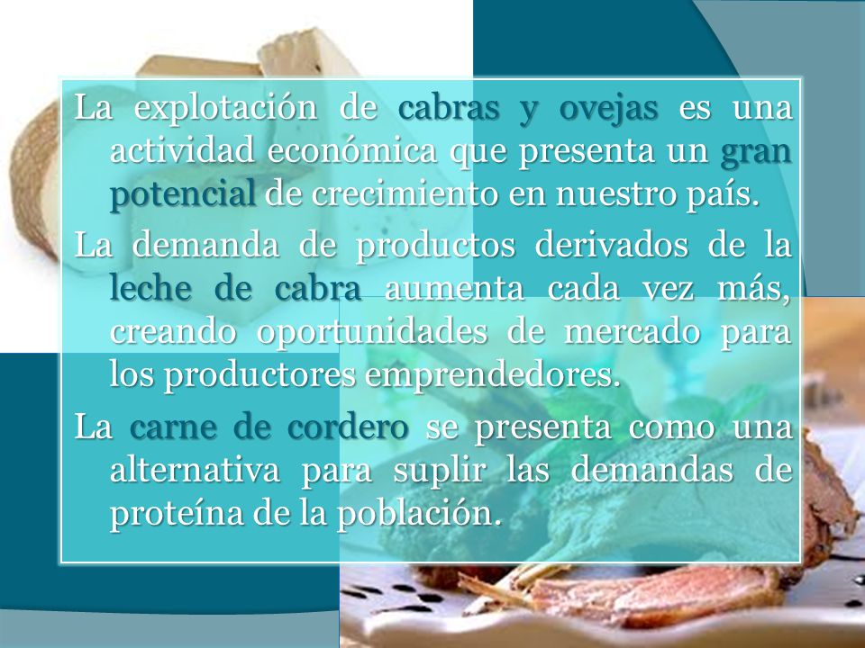 La explotación de cabras y ovejas es una actividad económica que presenta un gran potencial de crecimiento en nuestro país.