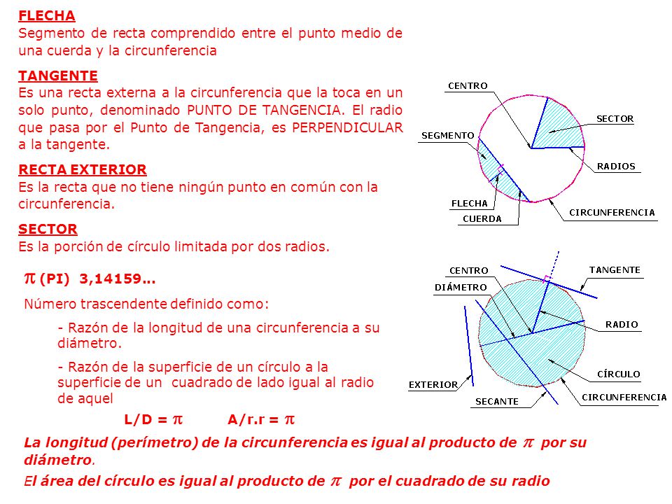 FLECHA Segmento de recta comprendido entre el punto medio de una cuerda y la circunferencia. TANGENTE.