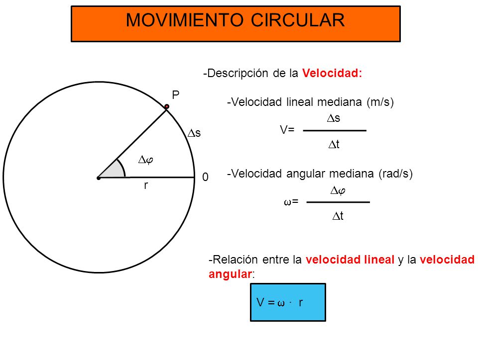 MOVIMIENTO CIRCULAR Descripción de la Velocidad:
