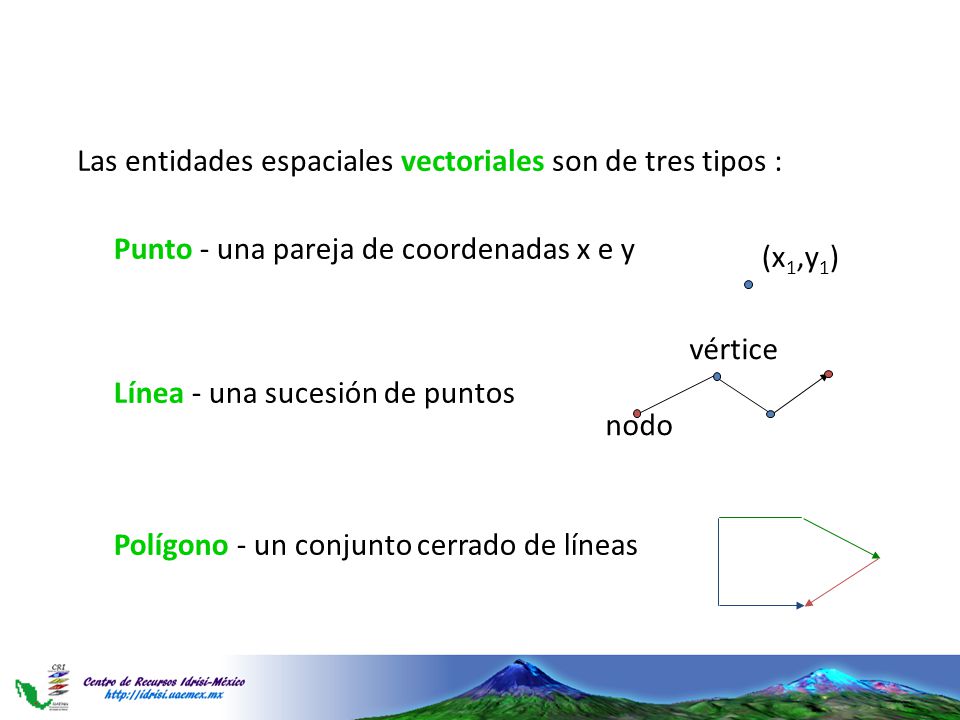 Las entidades espaciales vectoriales son de tres tipos :