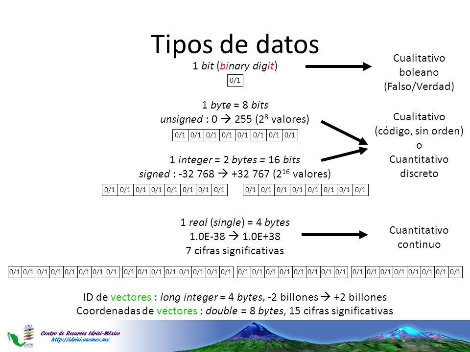 Tipos de datos Cualitativo 1 bit (binary digit) boleano (Falso/Verdad)