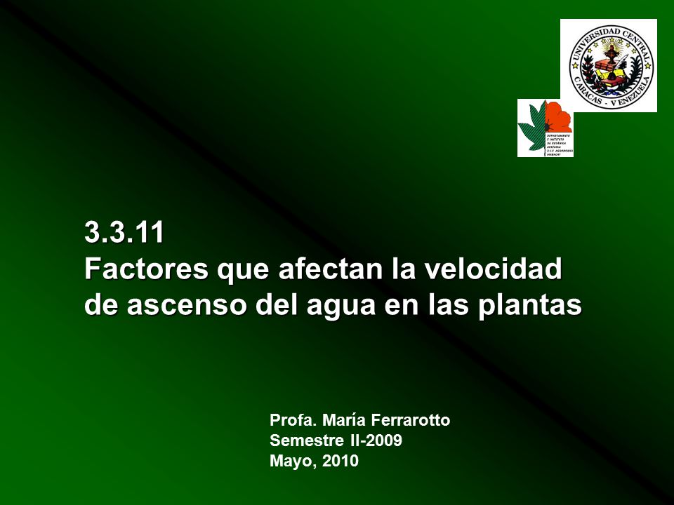 Factores que afectan la velocidad de ascenso del agua en las plantas