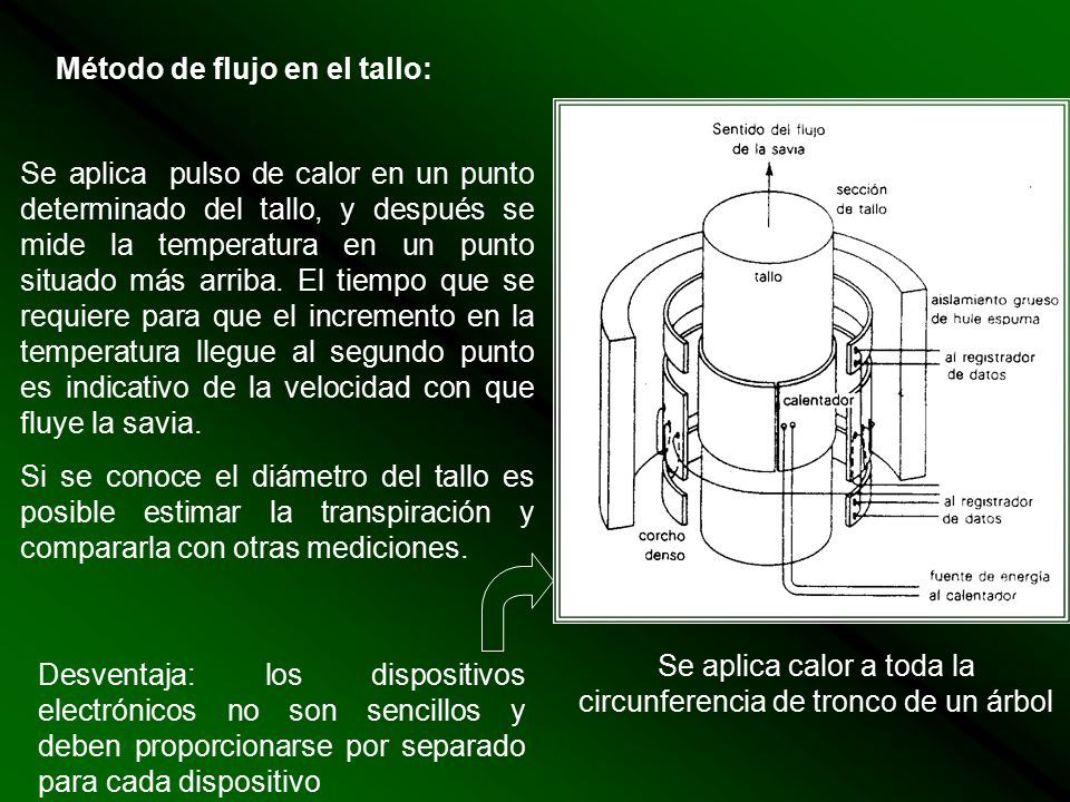 Se aplica calor a toda la circunferencia de tronco de un árbol