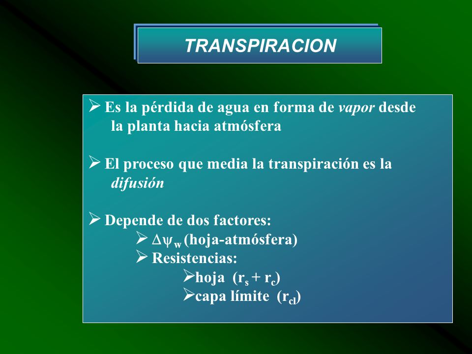 TRANSPIRACION Es la pérdida de agua en forma de vapor desde