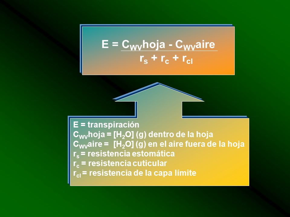 E = CWVhoja - CWVaire rs + rc + rcl