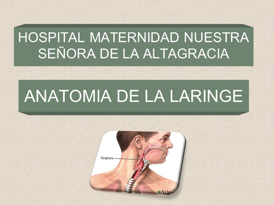 HOSPITAL MATERNIDAD NUESTRA SEÑORA DE LA ALTAGRACIA