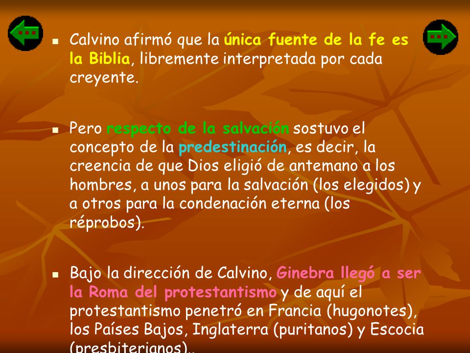 Calvino afirmó que la única fuente de la fe es la Biblia, libremente interpretada por cada creyente.