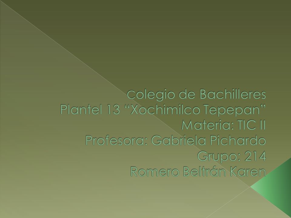 Colegio de Bachilleres Plantel 13 Xochimilco Tepepan Materia: TIC II Profesora: Gabriela Pichardo Grupo: 214 Romero Beltrán Karen