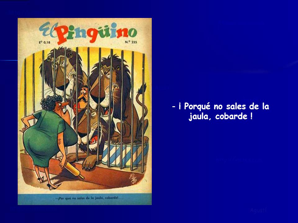 ¡ Porqué no sales de la jaula, cobarde !
