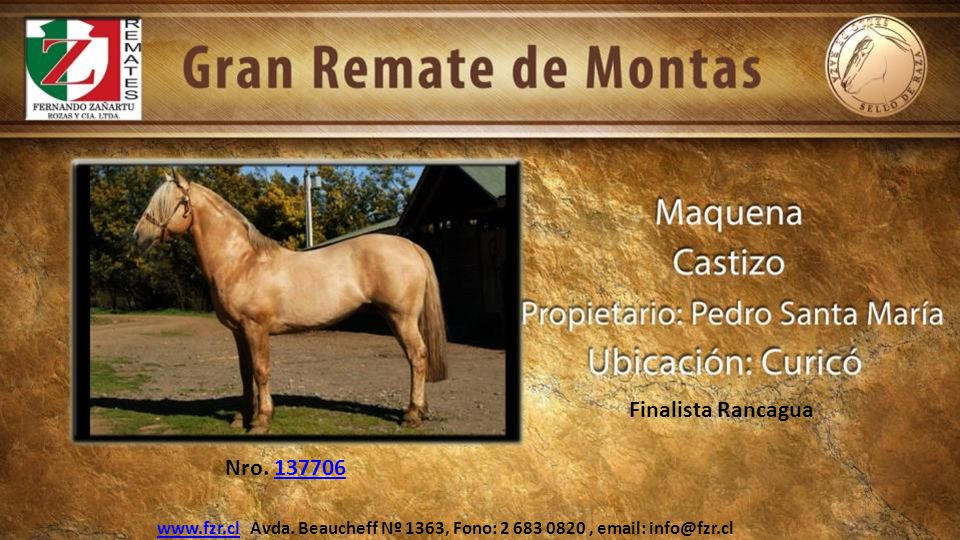 Finalista Rancagua Nro
