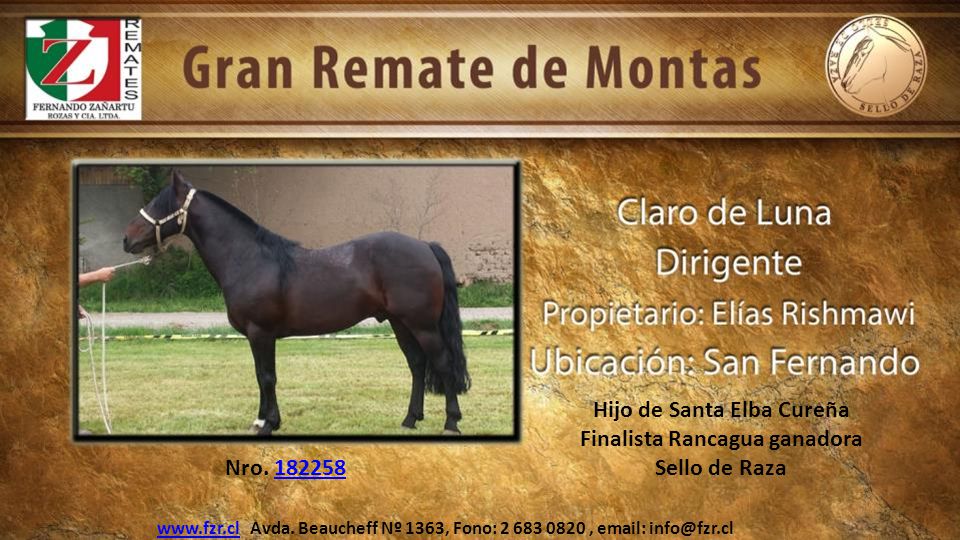 Hijo de Santa Elba Cureña Finalista Rancagua ganadora