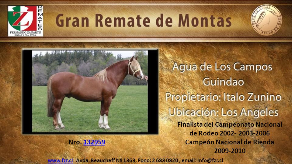 Finalista del Campeonato Nacional de Rodeo