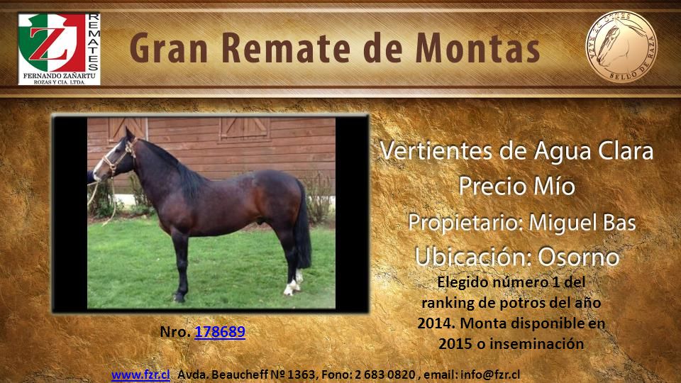 Elegido número 1 del ranking de potros del año 2014