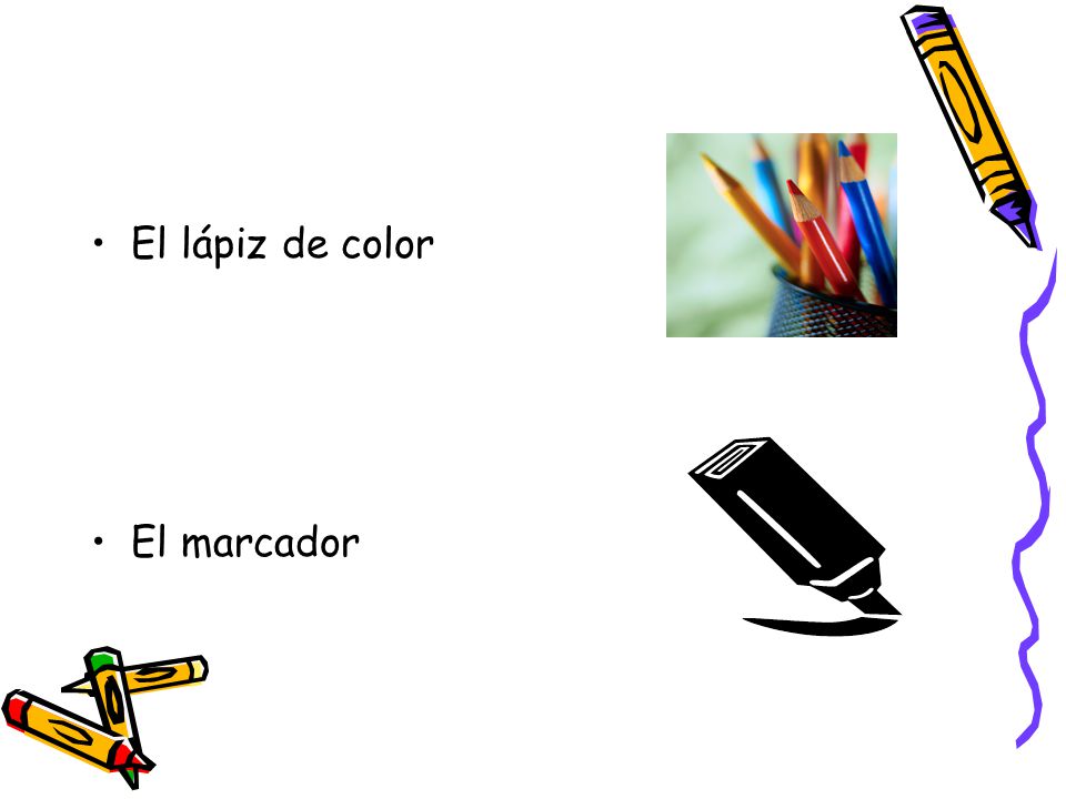 El lápiz de color El marcador