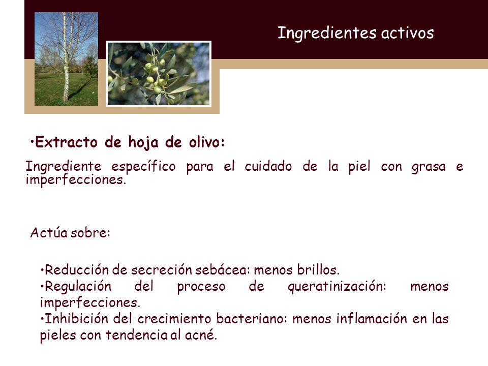 Ingredientes activos Extracto de hoja de olivo: