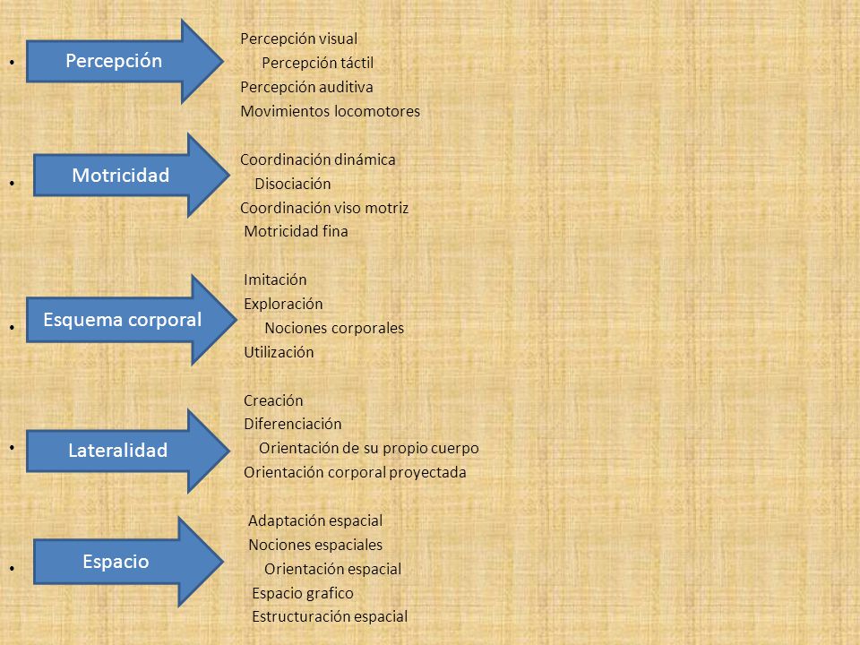 Percepción Motricidad Esquema corporal Lateralidad Espacio