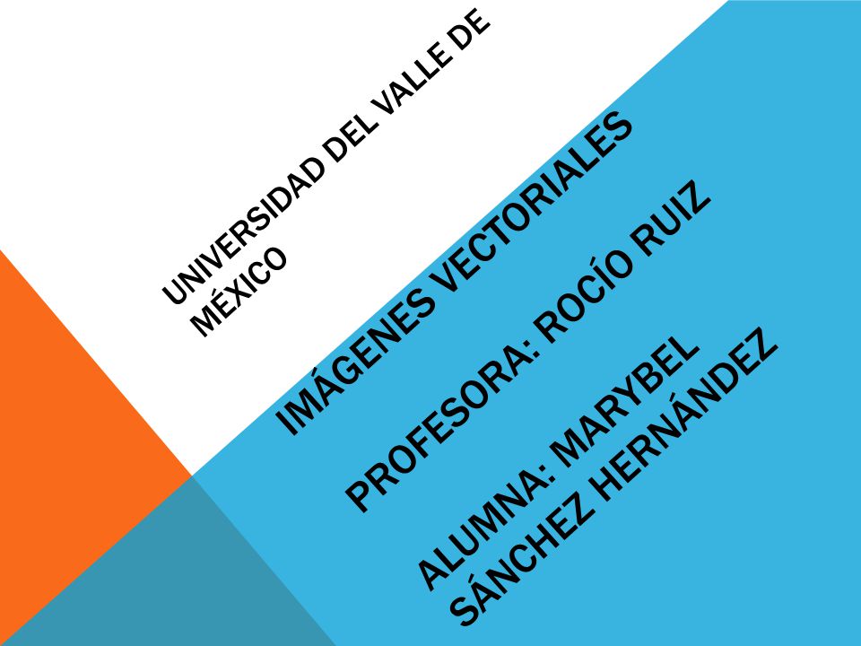 Universidad del Valle de México Imágenes Vectoriales Profesora: Rocío Ruiz Alumna: Marybel Sánchez Hernández