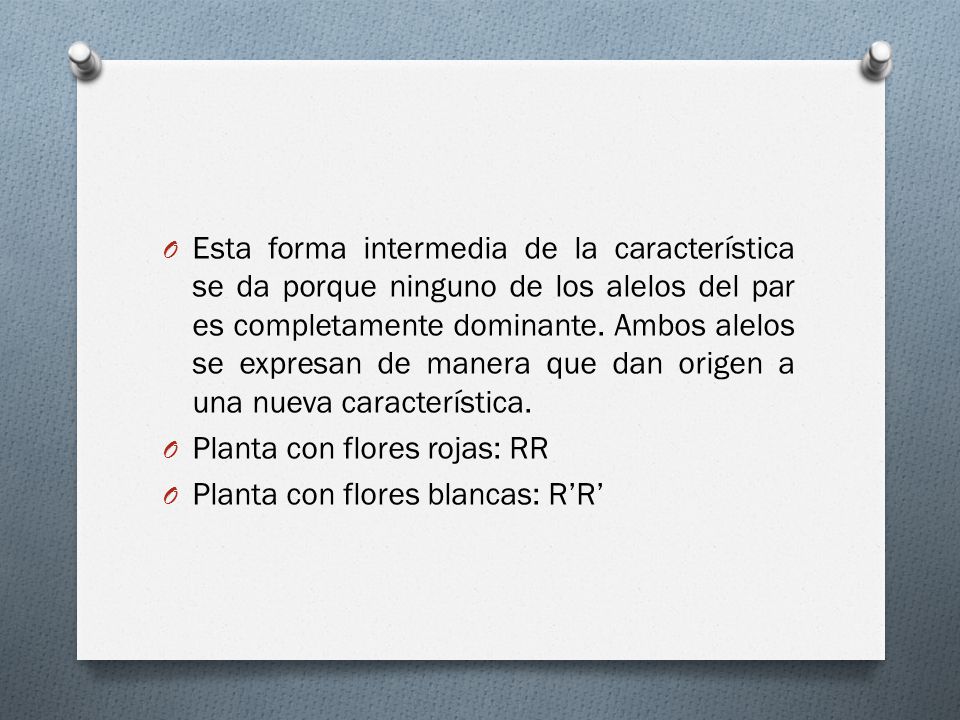 Esta forma intermedia de la característica se da porque ninguno de los alelos del par es completamente dominante. Ambos alelos se expresan de manera que dan origen a una nueva característica.