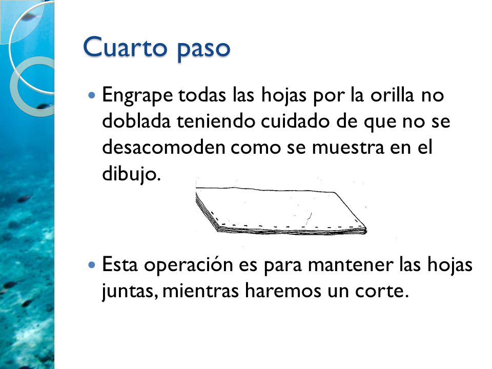 Cuarto paso Engrape todas las hojas por la orilla no doblada teniendo cuidado de que no se desacomoden como se muestra en el dibujo.