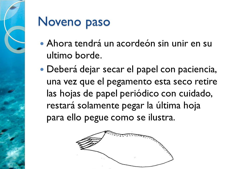 Noveno paso Ahora tendrá un acordeón sin unir en su ultimo borde.