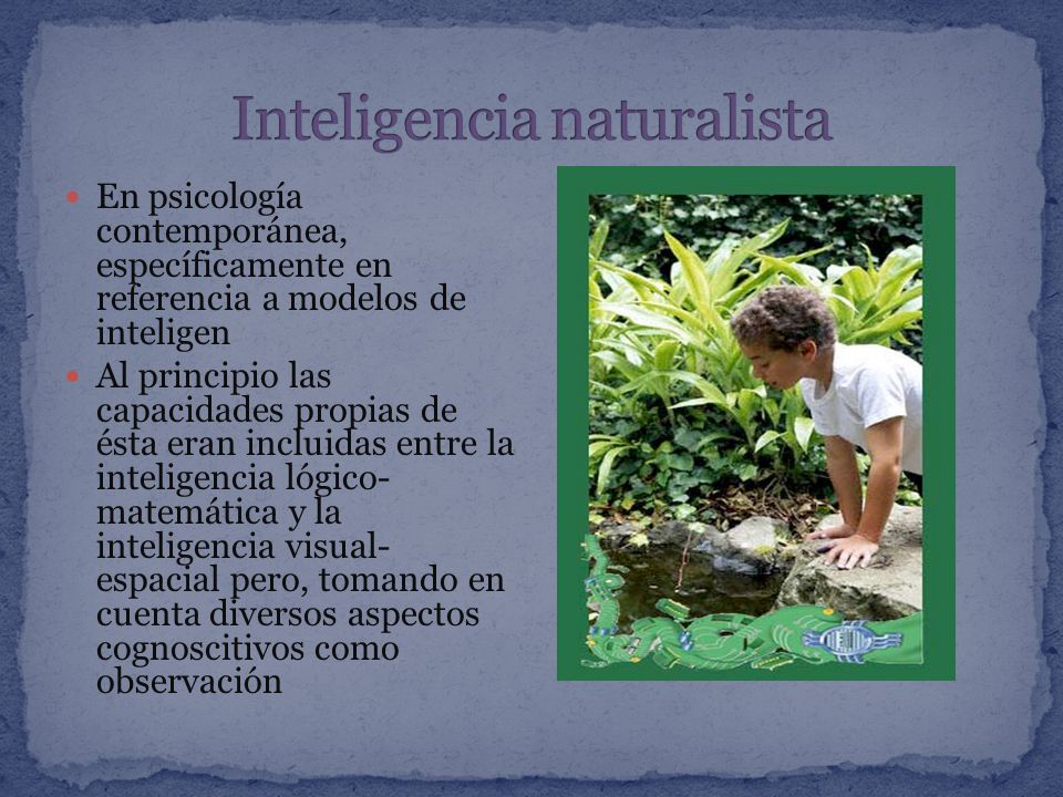 Inteligencia naturalista